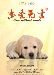 鞠婧祎照片大全图片
